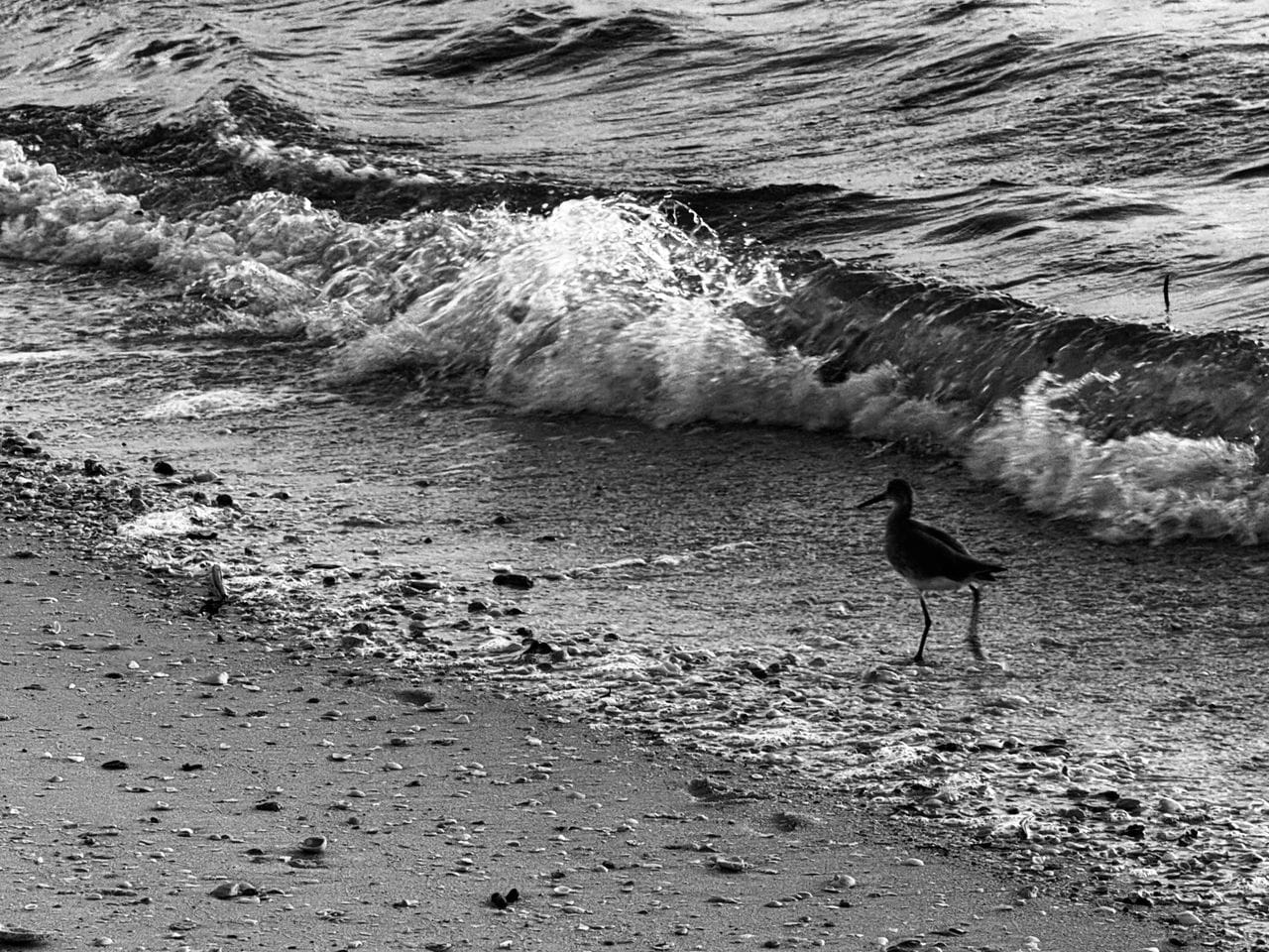 Outcome of Hurricane Milton at Vanderbilt Beach, Naples, FL. Captured by Kelly Dowd