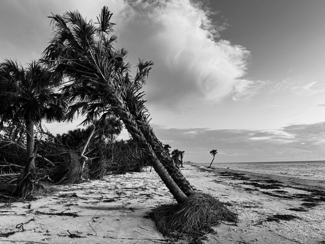 Desolated Vanderbilt Beach in Naples, Florida, Captured by Kelly Dowd